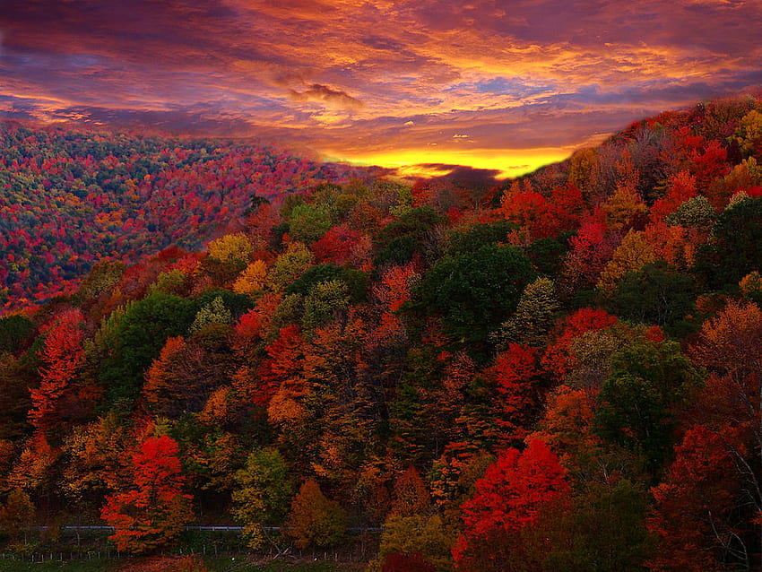 田舎道 秋の山の夕日 バージニア州ウィキメディア・コモンズ、国の秋の夕日 高画質の壁紙