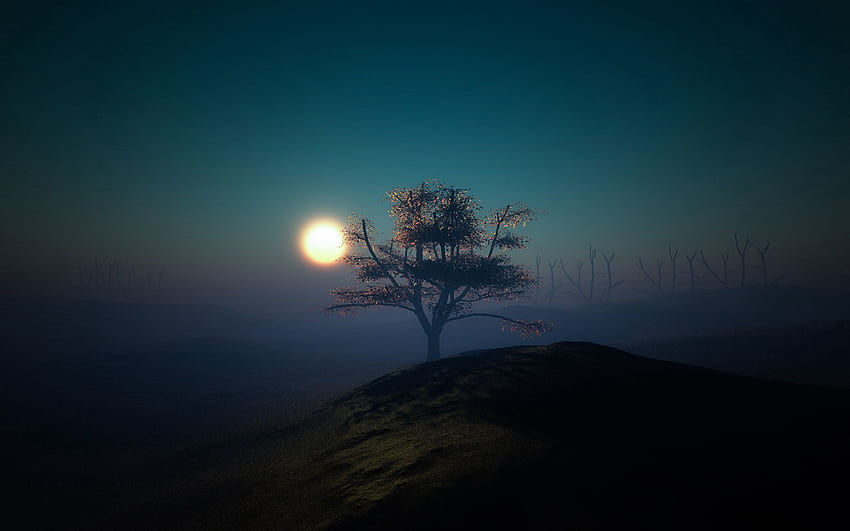 ธรรมชาติ พระอาทิตย์ตก กลางคืน ส่องแสง แสง ไม้ ต้นไม้ เนินเขา วอลล์เปเปอร์ HD