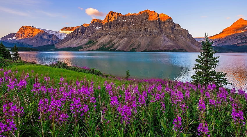 Parque Nacional Banff Canadá, flores, montañas, lago, Canadá fondo de pantalla