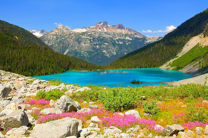 Joffre Upper Lake, Canada, bellissimo, arbusti, lago, British Columbia, fiori di campo, verde, acqua turchese, fiori rosa, montagne, foresta Sfondo HD