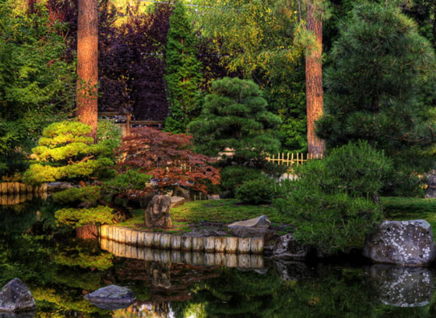 Jardim incrível, jardim, cores, natureza, grama, lago, árvore papel de parede HD