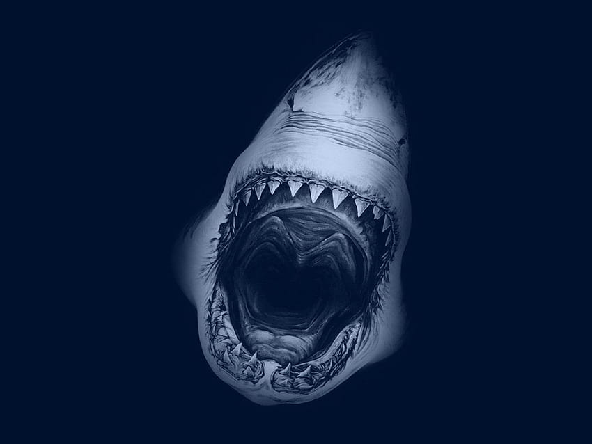 Голяма бяла акула HD тапет