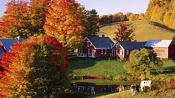 Wallpaper ID 176452  fall autumn house vermont cottage beautiful  trees foliage countryside path peaceful village field landscape free  download