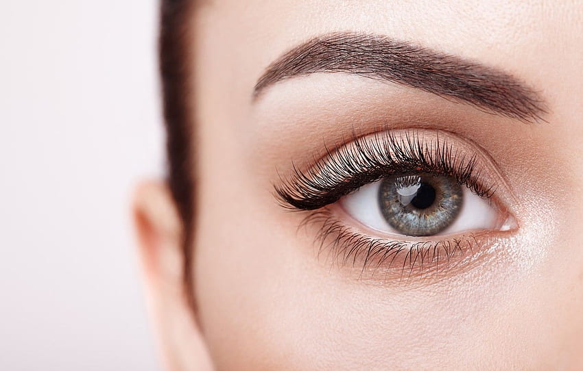 woman, eyes, eyelashes for , section HD wallpaper