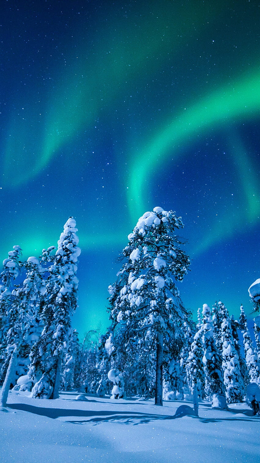 ラップランド、フィンランド、冬、雪、木、夜、オーロラ、自然、冬の垂直 HD電話の壁紙
