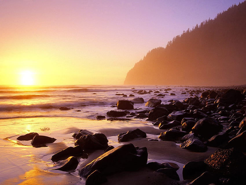 South Beach, Cape Lookout State Park, Орегон, природа, залези HD тапет