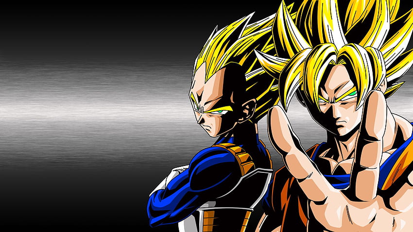 Fusión de Goku y Vegeta Super Saiyan Dios - fondo de pantalla | Pxfuel