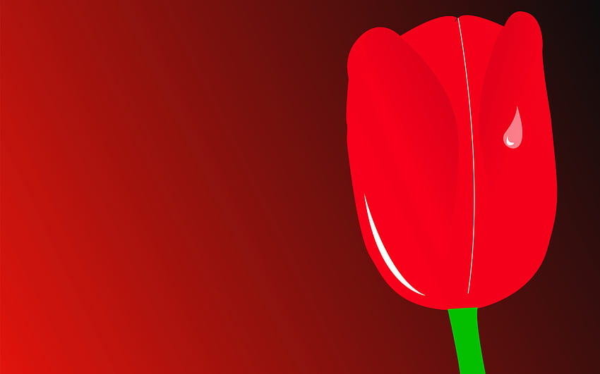 tulipán rojo, tulipán, 3d, rojo fondo de pantalla