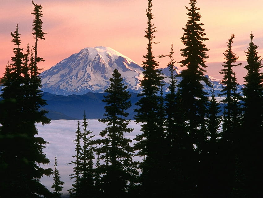 Mount Rainier Washington, manzara, doğa, dağ HD duvar kağıdı