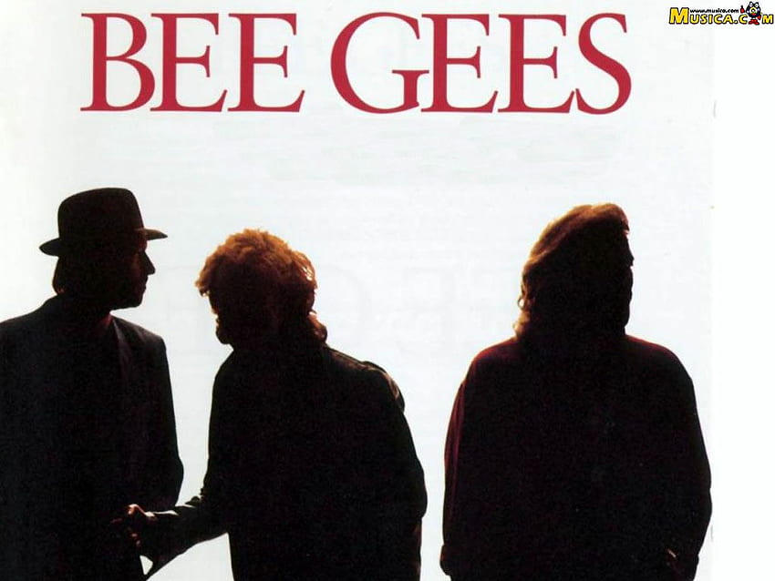The Bee Gees. Lebah Wallpaper HD