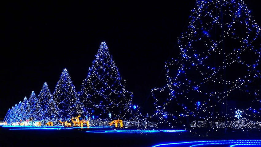 Christmas Trees in Japan. Christmas for Mobile and HD wallpaper