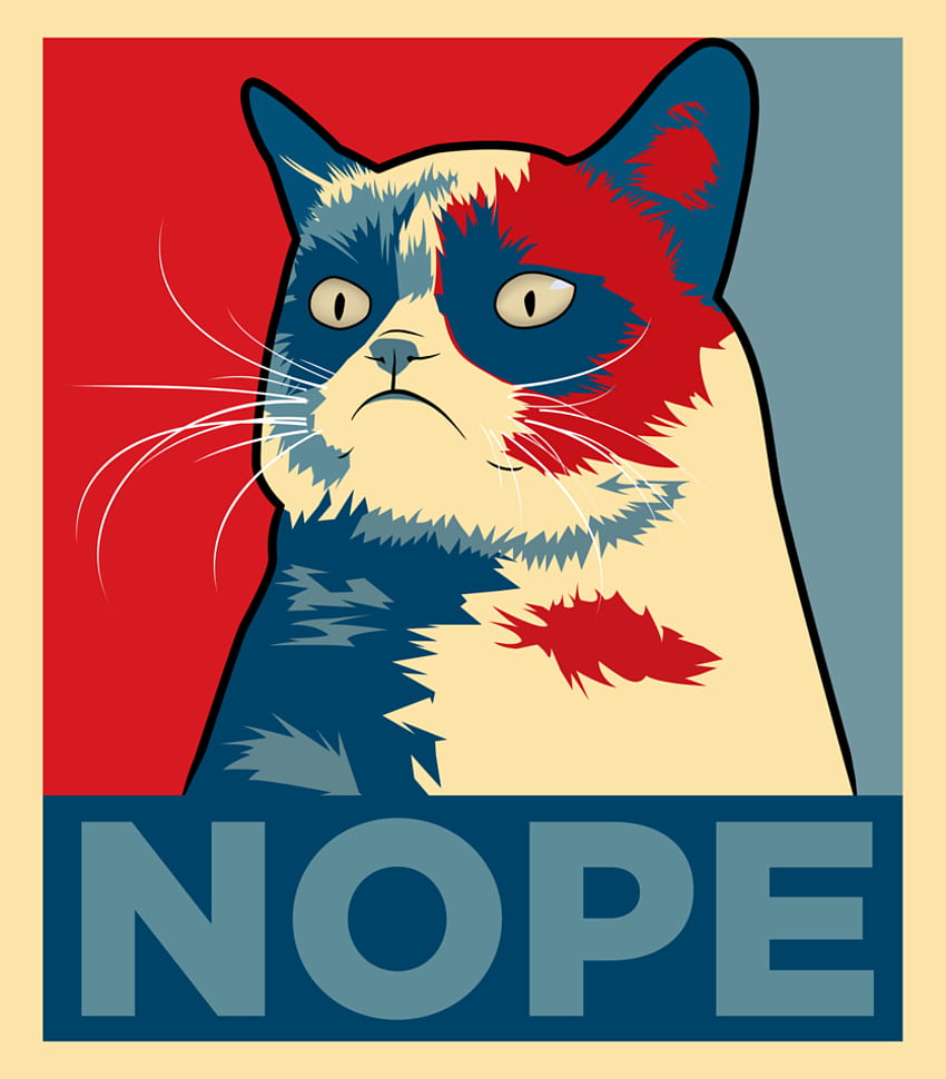 UBBE 837×955 pixels. Grumpy cat art, Cat posters, Grumpy cat, Nope Grumpy Cat HD phone wallpaper