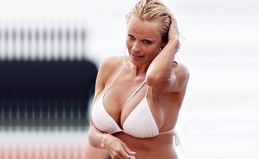 Pamela Anderson, Woman, Acrtress, People HD wallpaper