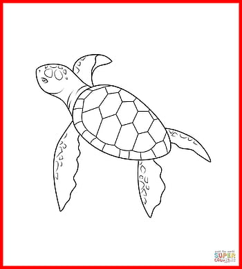Illustration Turtlebasic Draw Turtle Draw Basic Stock Illustration  1802627917 | Shutterstock