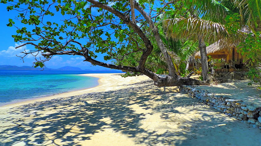 Remote And Exotic Beach, island, sea, palms, light and shadow, tropical, white sands, paradise, beautiful, beach, summer, Philippines, hut, trees, travel HD wallpaper