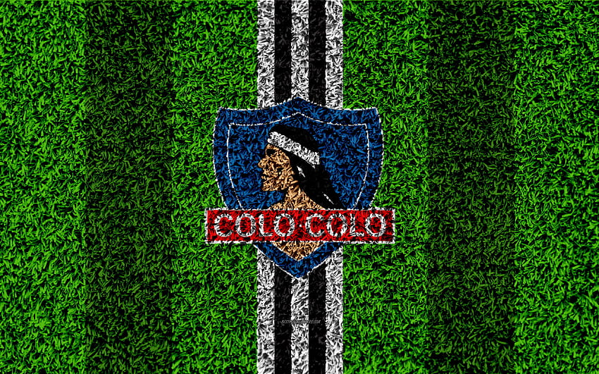Colo Colo FC, , logo, grass texture, Colo-colo HD wallpaper