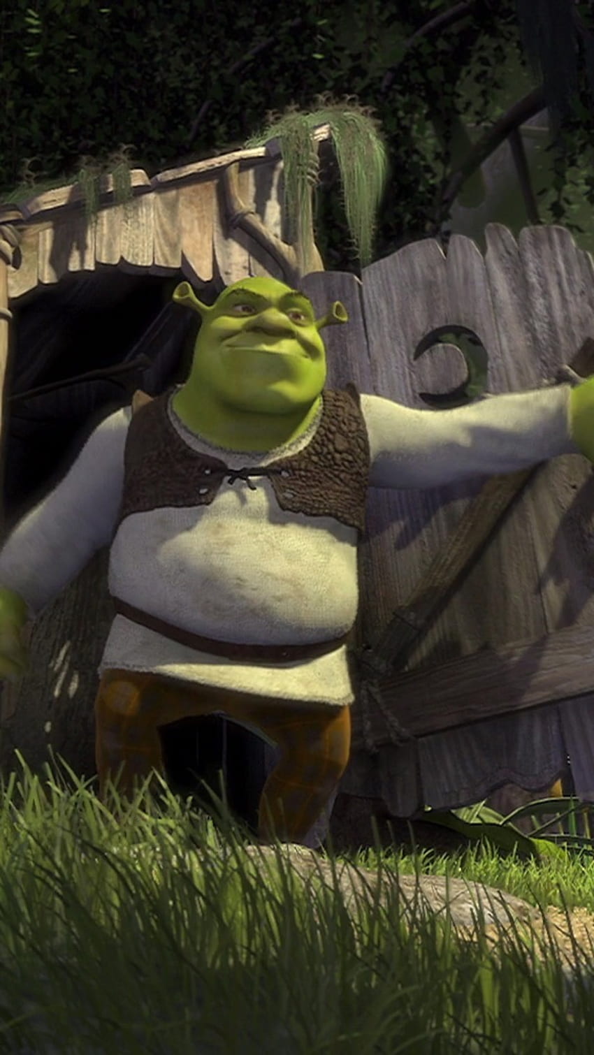 Shrek Meme Wallpaper 73806 1920x1080px