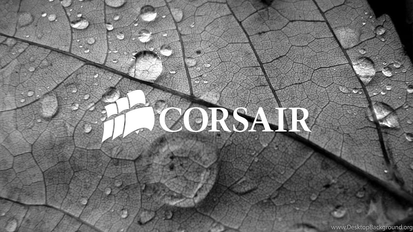 Top Vought F4u Corsair Untuk Latar Belakang Pinterest Wallpaper HD