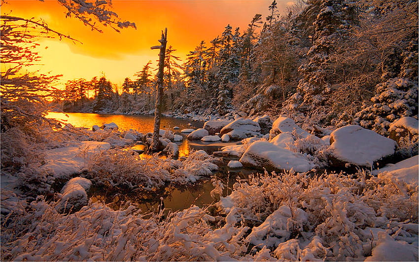 Blue Mountain- Birch Cove Lakes Wilderness, Halifax, Nova Scotia, winter, treesrocks, snow, landscape, trees, sky, canada, sunset HD wallpaper