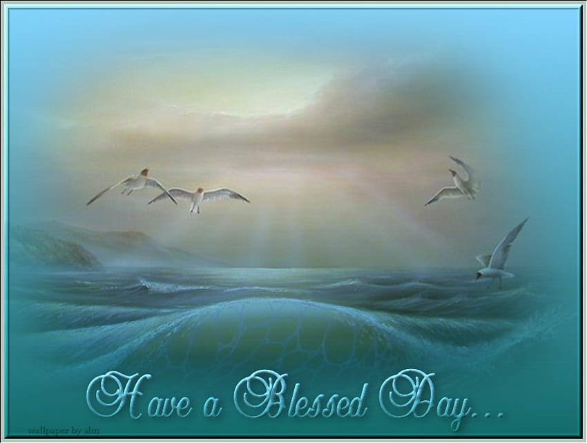 Have a Blessed Day, valentine, sad, birds, water, ocean, blessed HD wallpaper