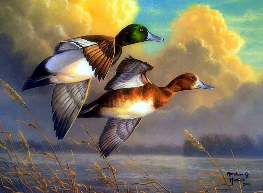 Fly Together, cute, flying, paintings, ducks, love four seasons, lakes, animals, clouds, nature, sky, lovely HD wallpaper