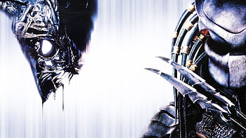 Alien Vs Predator AVP - Hot Toys - HD Wallpaper by Davian-Art on