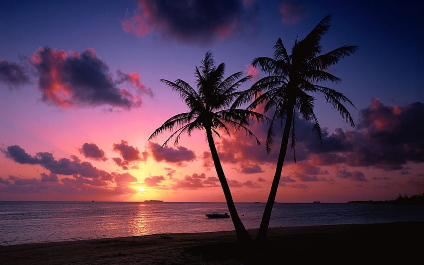Tropical Island Sunset (the best in 2018) HD wallpaper