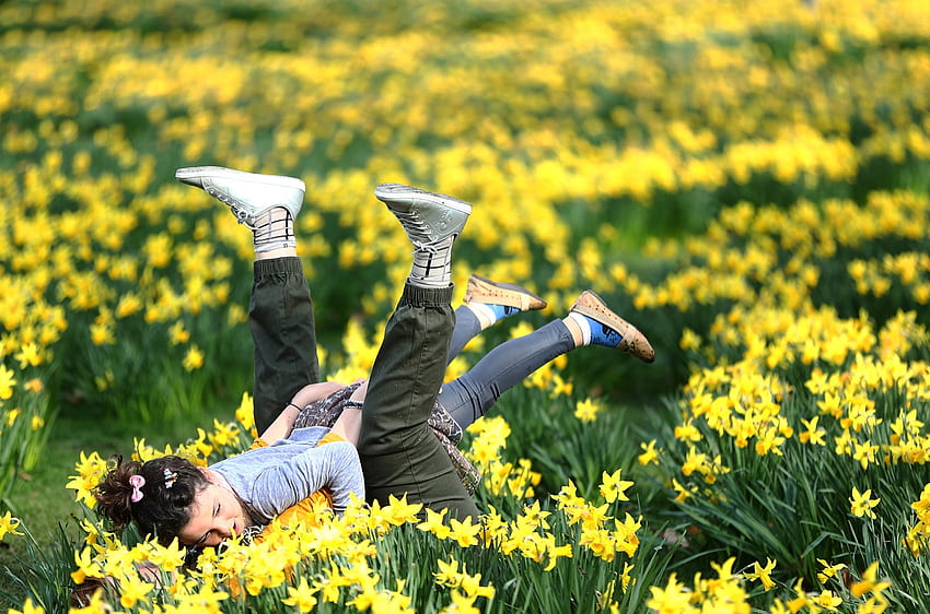 Child plays with Mum in the springtime, Play, Springtime, Woman, Daffodils, Child HD wallpaper