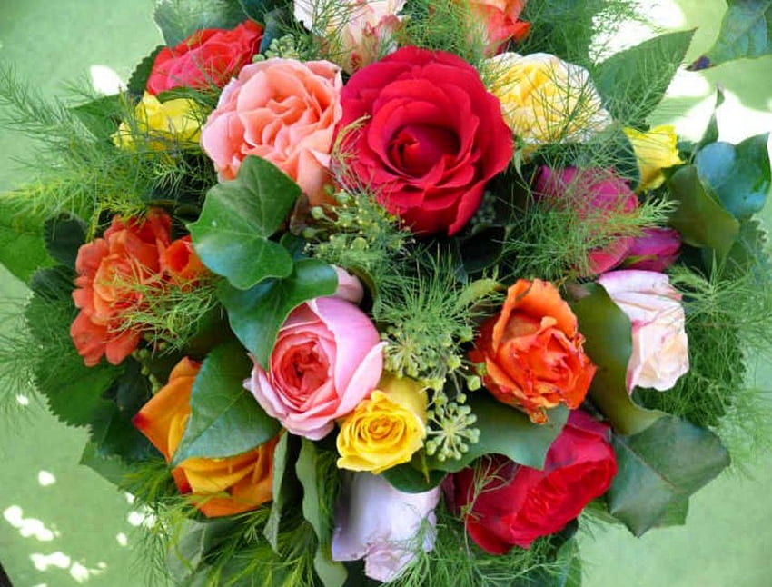 Warna berbeda dari buket mawar, buket, graphy, warna, hadiah, musim semi, kecantikan, halus, abstrak, kelopak, artis, putih, mawar, seni, lembut, oranye, merah muda, daun, kuning, merah, alam, bunga Wallpaper HD