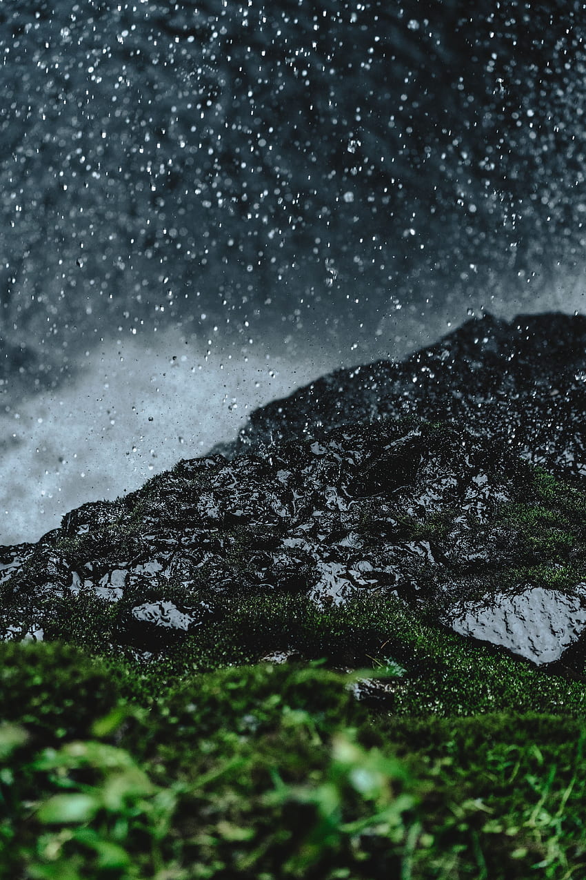 Grass, Rain, Drops, Macro, Land, Earth, Moss HD phone wallpaper