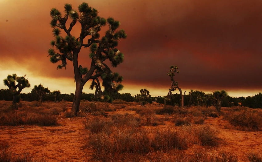 Scientists: The American Southwest Faces a Megadrought, South West Desert HD wallpaper