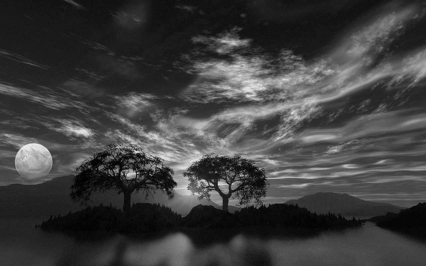Schwarz-Weiß-Natur, schöne dunkle Landschaft HD-Hintergrundbild