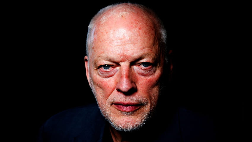 David Gilmour. Music fanart HD wallpaper