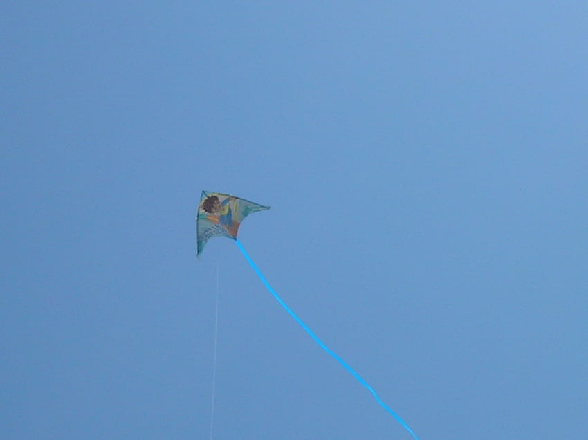 flying high, wind kite sky HD wallpaper