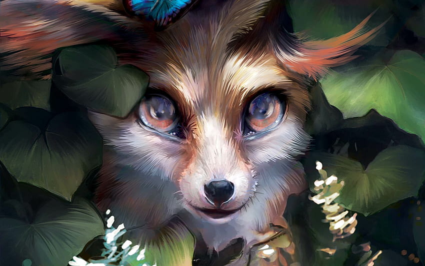 Foxes are cute  Anime Amino