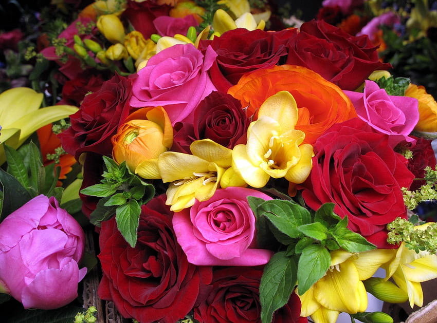 Flowers, Roses, Close-Up, Bouquet, Ranunculus, Ranunkulus, sia HD wallpaper