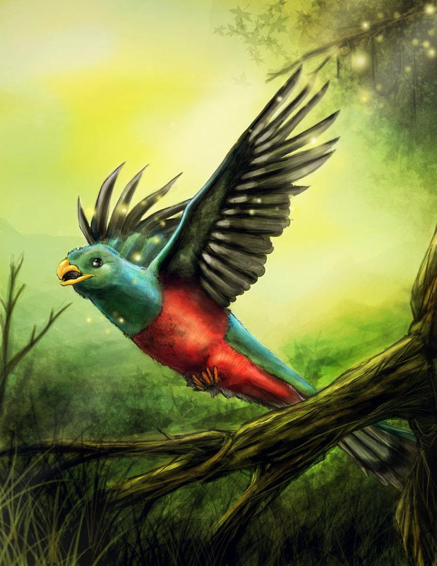 Quetzal HD phone wallpaper