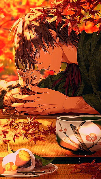 Anime Catboy Wallpapers  Wallpaper Cave