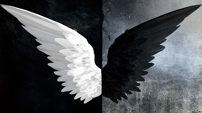 천사의 날개 HD 월페이퍼