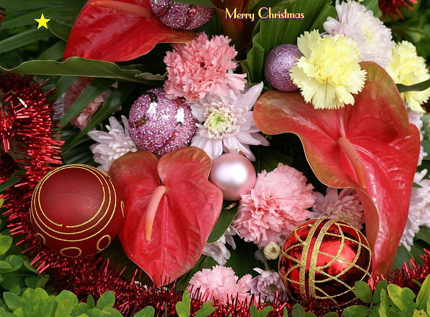 Feiertage, Nelken, Weihnachten, Grüns, Inschrift, Weihnachtsschmuck, Weihnachtsbaumspielzeug, Lametta, Anthurium HD-Hintergrundbild