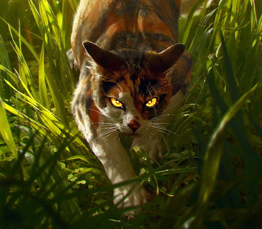 Warrior Cats Art