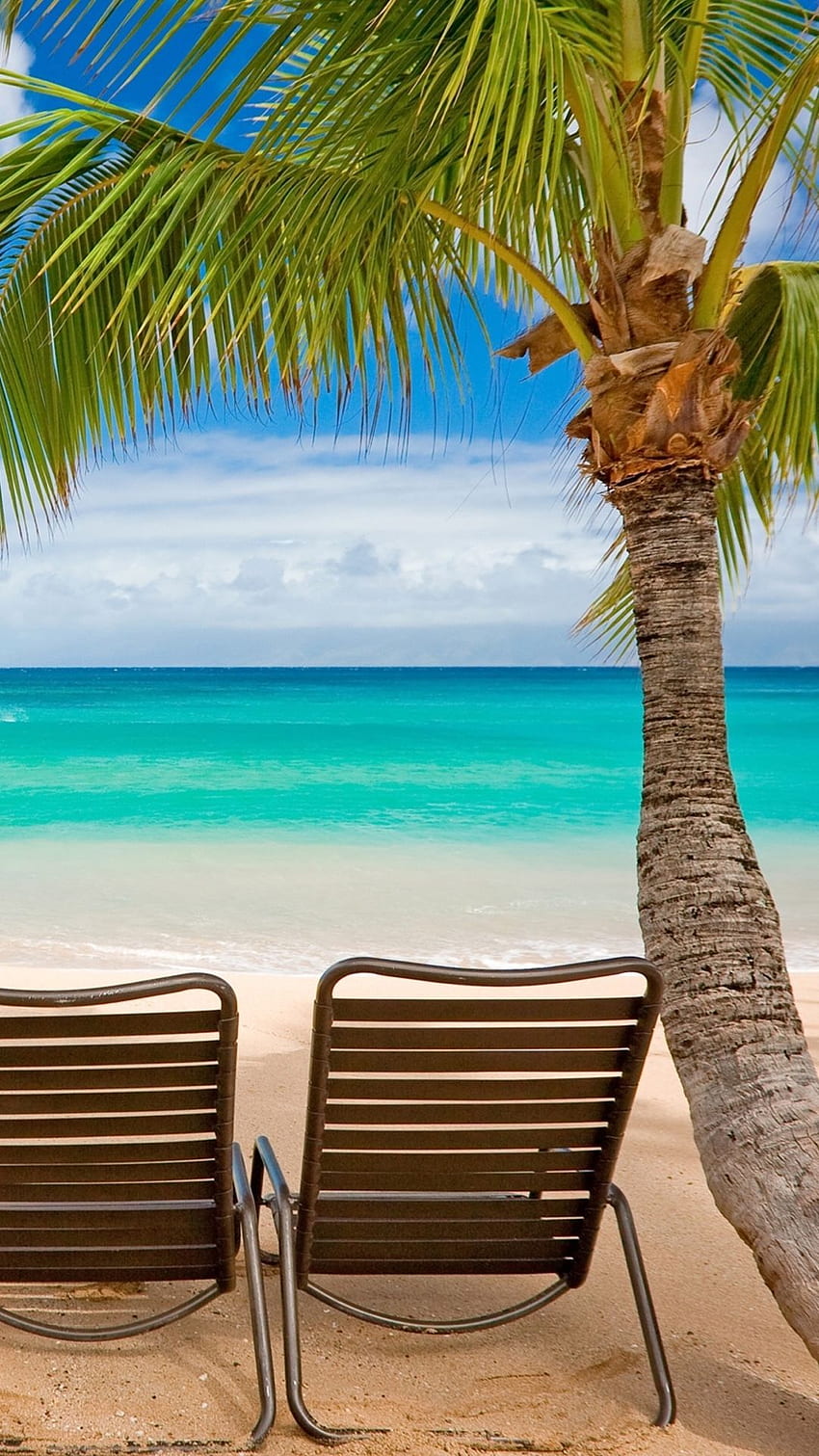 Weekends: A Shady Spot on the Beach for iPad, iPhone, and Apple Watch, Caribbean Beach iPhone HD phone wallpaper