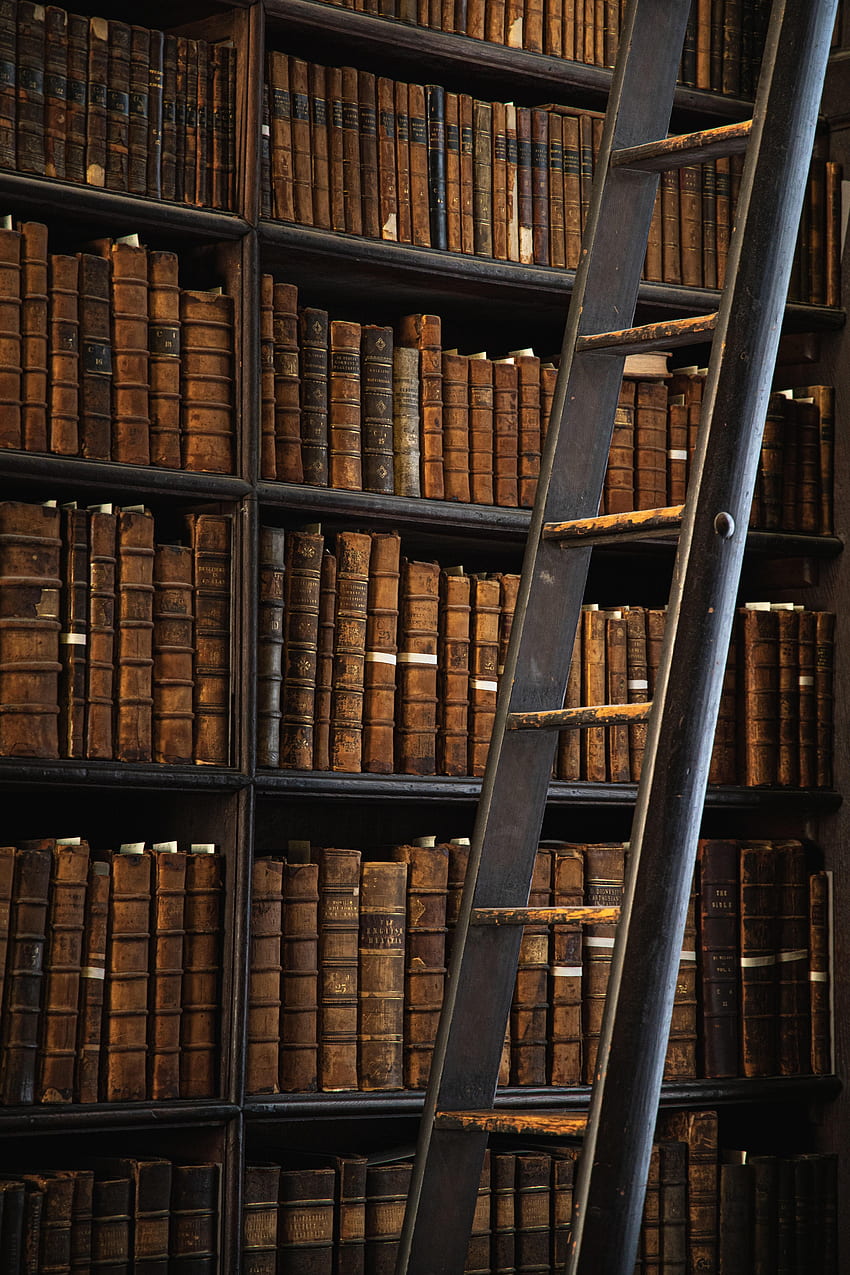 Books, , , Stairs, Ladder, Library, Racks HD phone wallpaper
