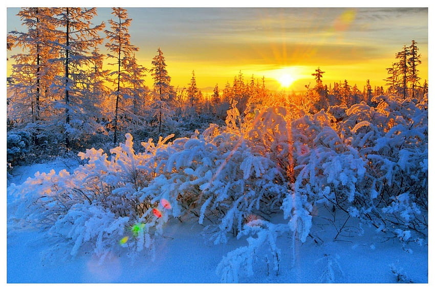 'Glow Sunrise in Winter', inverno, brilho, silencioso, férias de inverno, nascer do sol, brilhando, cenário, neve, árvores, esplêndido, congeladas, atrações nos sonhos, florestas, bonita, estações, criativo pré-fabricado, amor quatro estações, Natal , natureza, natal e ano novo papel de parede HD