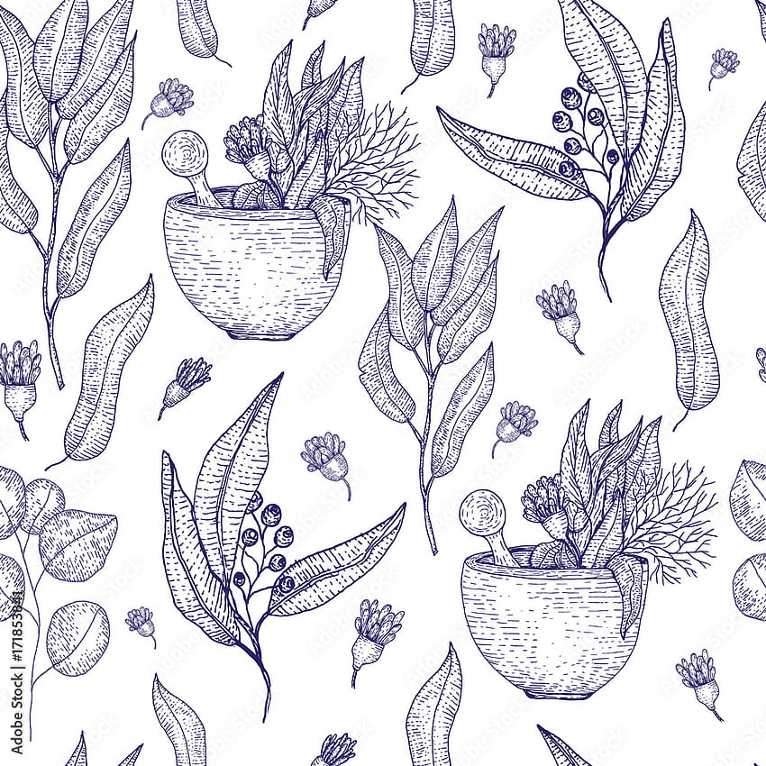 Medical herbs seamless pattern with sketch engraved spices and herbs. Plant and herbal design for , site background, promotion Stock Vector. Adobe Stock, Medicinal Herbs HD phone wallpaper
