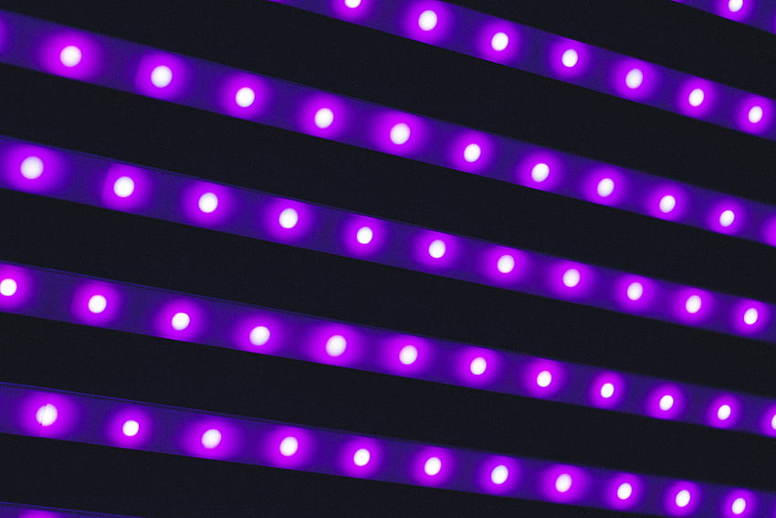 Purple LED strips, Light, Lighting, Lamps, LED Lights HD wallpaper