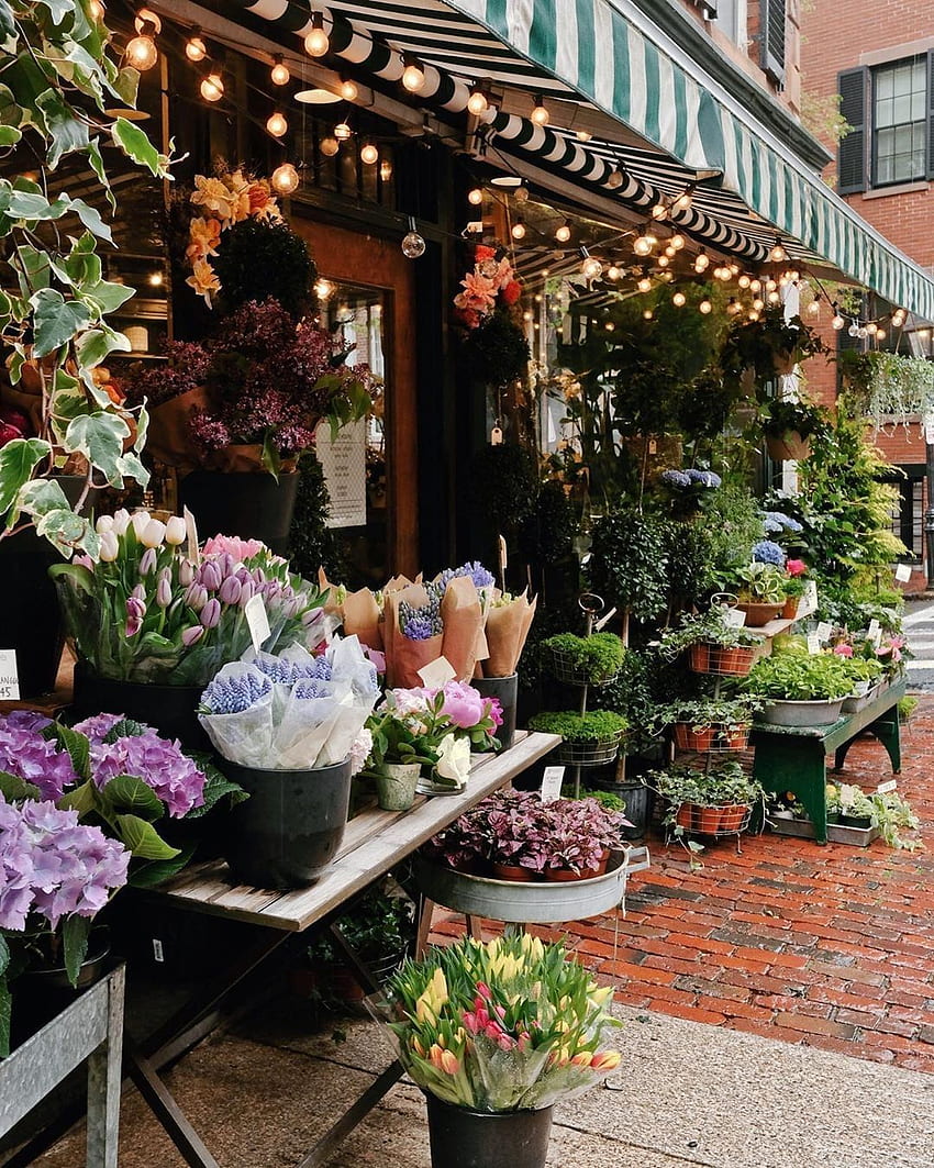 The Flower Shopkeepers su Instagram: “Fiori primaverili in ottobre a Rouvalis Flowers, Boston Sfondo del telefono HD