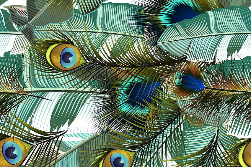 Peacock feathers, peacock, feather, paun, blue, green, texture HD wallpaper