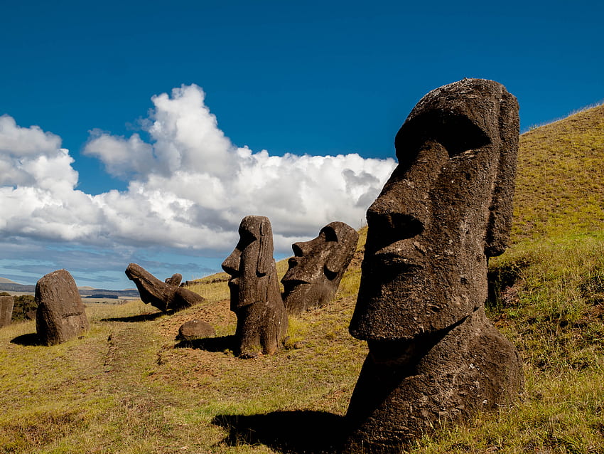 Nature, Stone, Statue, Idol, Easter Island, Moai HD wallpaper