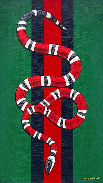 Cool Supreme Gucci Snake Wallpapers on WallpaperDog